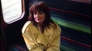 Gorgeous girl agrees to slamming hard in lingerie HD